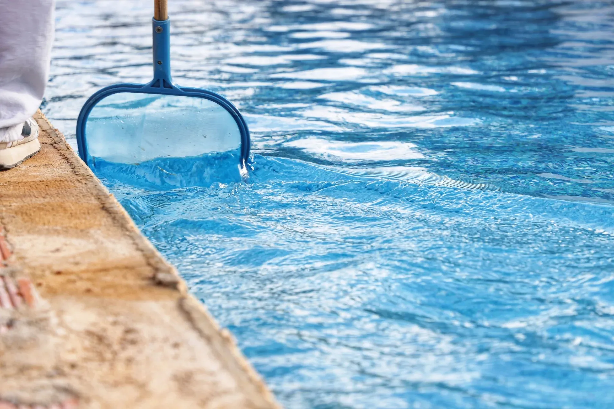 Brushing a Naples pool wall during weekly maintenance