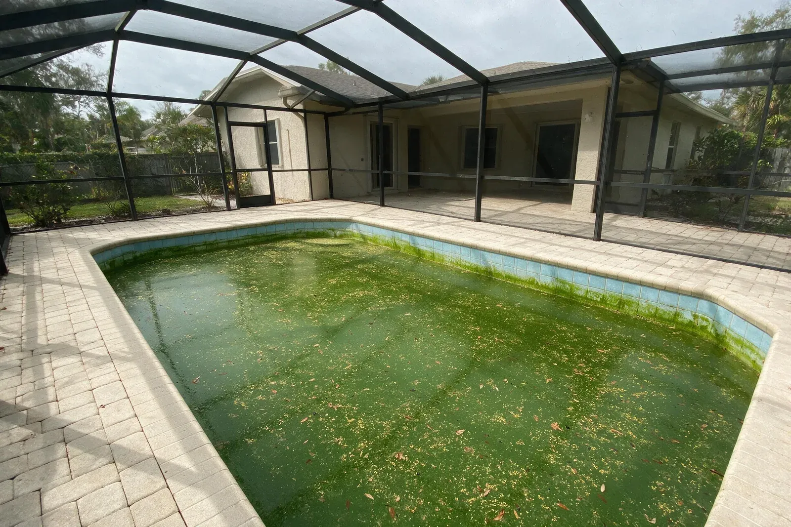Neglected pool inside a screened enclosure with algae-green water