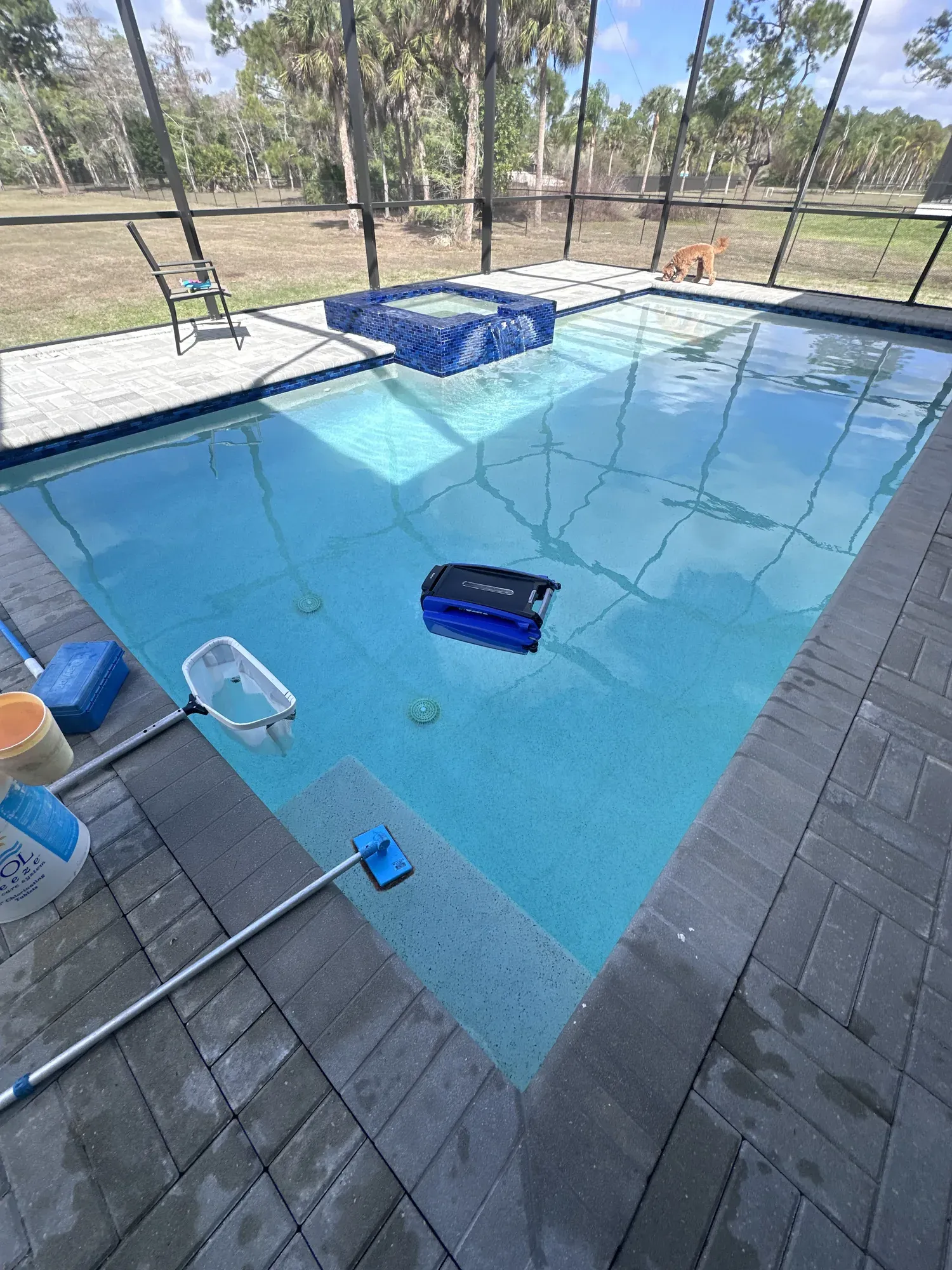 Screened pool and spa enclosure in a canal-front Cape Coral backyard